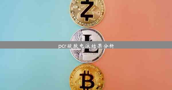 pcr凝胶电泳结果分析