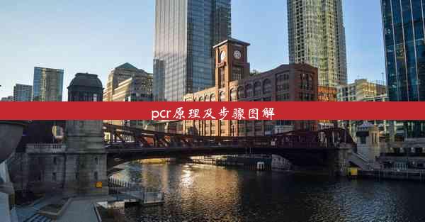 pcr原理及步骤图解