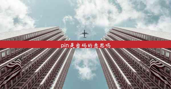 pin是密码的意思吗