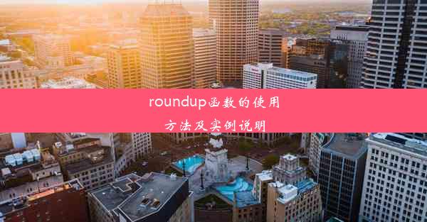 roundup函数的使用方法及实例说明