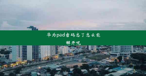 华为pad密码忘了怎么能解开呢