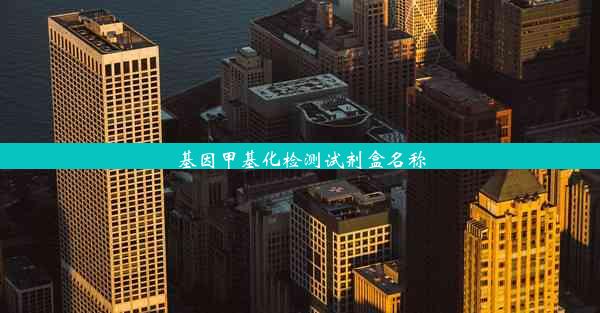 基因甲基化检测试剂盒名称