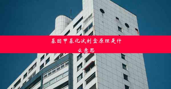 基因甲基化试剂盒原理是什么意思