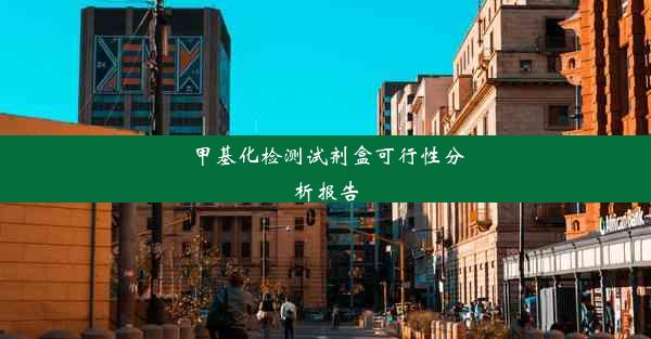 甲基化检测试剂盒可行性分析报告