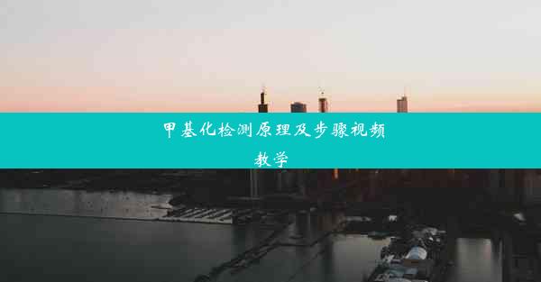 <b>甲基化检测原理及步骤视频教学</b>