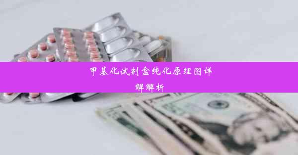 <b>甲基化试剂盒纯化原理图详解解析</b>