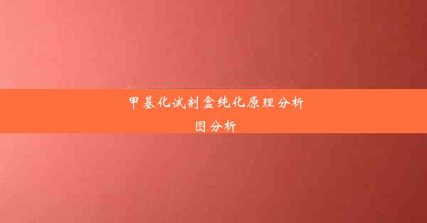 甲基化试剂盒纯化原理分析图分析