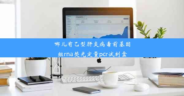 哪儿有乙型肝炎病毒前基因组rna荧光定量pcr试剂盒