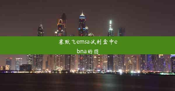 赛默飞emsa试剂盒中ebna的图