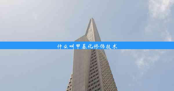 什么叫甲基化修饰技术