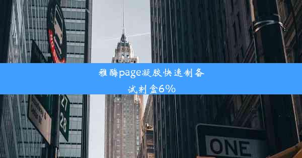 雅酶page凝胶快速制备试剂盒6%