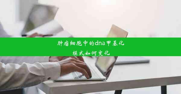 肿瘤细胞中的dna甲基化模式如何变化