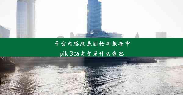 子宫内膜癌基因检测报告中pik 3ca突变是什么意思