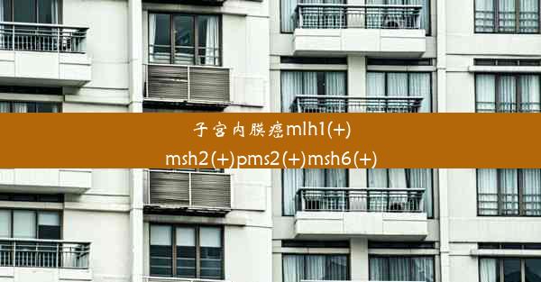 子宫内膜癌mlh1(+)msh2(+)pms2(+)msh6(+)