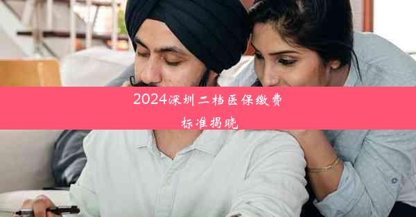 2024深圳二档医保缴费标准揭晓