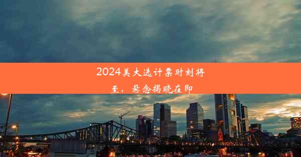 2024美大选计票时刻将至，悬念揭晓在即