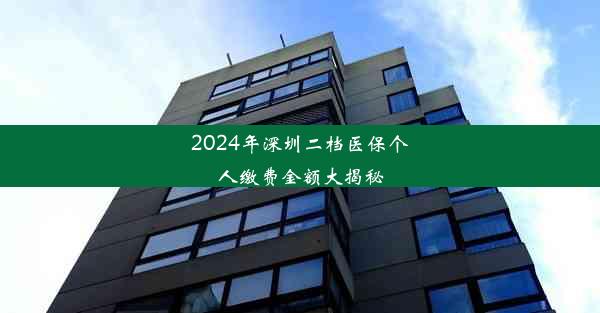 2024年深圳二档医保个人缴费金额大揭秘