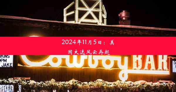 2024年11月5日：美国大选风云再起