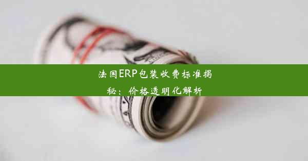 法国ERP包装收费标准揭秘：价格透明化解析