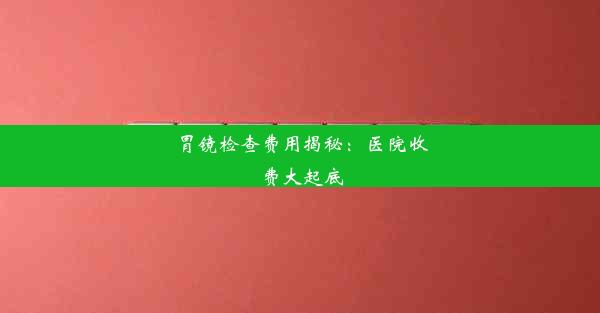 胃镜检查费用揭秘：医院收费大起底