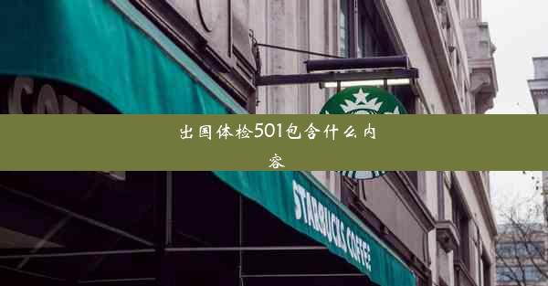 出国体检501包含什么内容