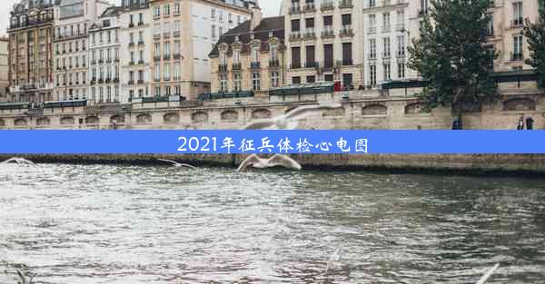 2021年征兵体检心电图