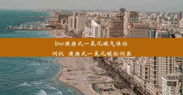 <b>bw便携式一氧化碳气体检测仪_便携式一氧化碳检测器</b>