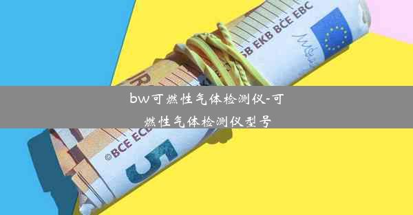 bw可燃性气体检测仪-可燃性气体检测仪型号