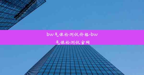 bw气体检测仪价格-bw气体检测仪官网