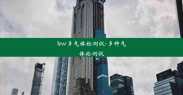 bw多气体检测仪-多种气体检测仪