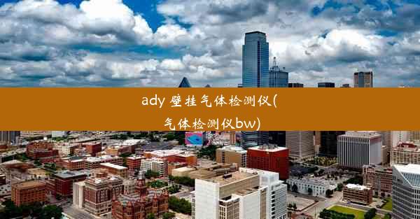 ady 壁挂气体检测仪(气体检测仪bw)