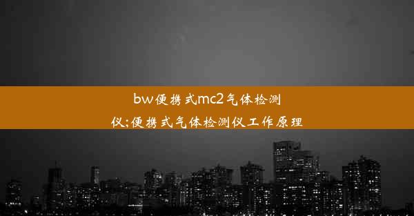 bw便携式mc2气体检测仪;便携式气体检测仪工作原理