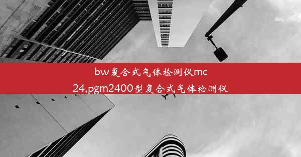 bw复合式气体检测仪mc24,pgm2400型复合式气体检测仪