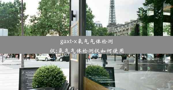 gaxt-x氧气气体检测仪;氧气气体检测仪如何使用