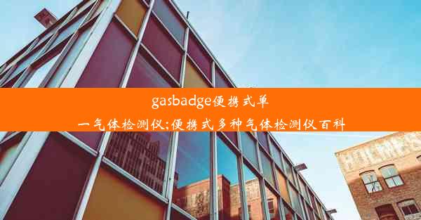 gasbadge便携式单一气体检测仪;便携式多种气体检测仪百科