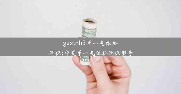 gaxtnh3单一气体检测仪;宁夏单一气体检测仪型号