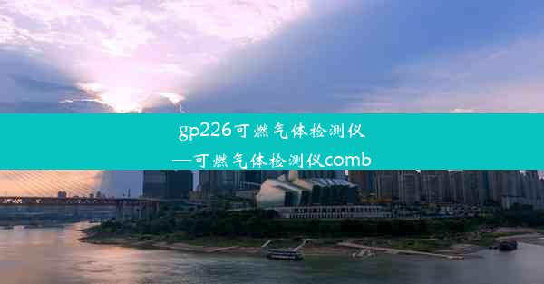 gp226可燃气体检测仪—可燃气体检测仪comb