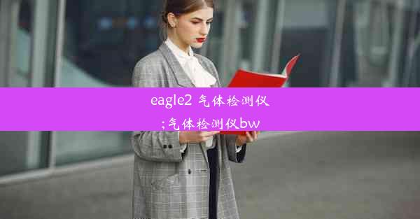 eagle2 气体检测仪;气体检测仪bw