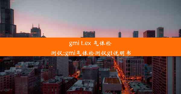 gmi t.ex 气体检测仪;gmi气体检测仪gt说明书