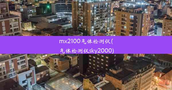 mx2100气体检测仪(气体检测仪sky2000)