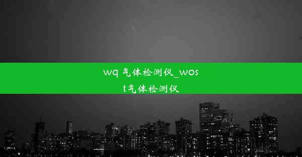 wq 气体检测仪_wost气体检测仪