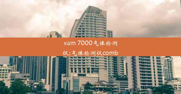 xam 7000气体检测仪;气体检测仪comb