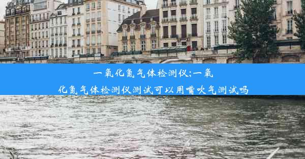 一氧化氮气体检测仪;一氧化氮气体检测仪测试可以用嘴吹气测试吗