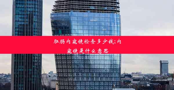 肛肠内窥镜检查多少钱;内窥镜是什么意思