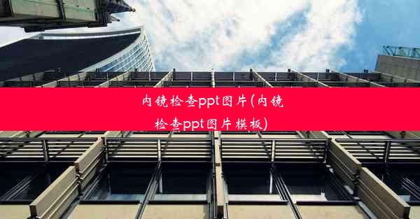 <b>内镜检查ppt图片(内镜检查ppt图片模板)</b>