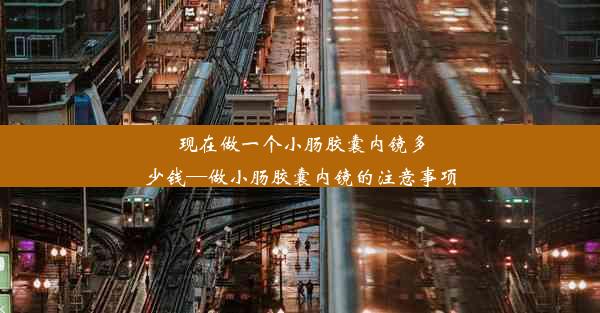 <b>现在做一个小肠胶囊内镜多少钱—做小肠胶囊内镜的注意事项</b>