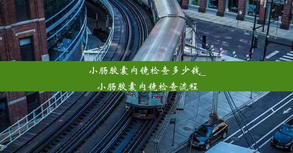 小肠胶囊内镜检查多少钱_小肠胶囊内镜检查流程