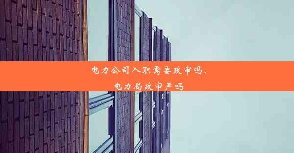 电力公司入职需要政审吗、电力局政审严吗