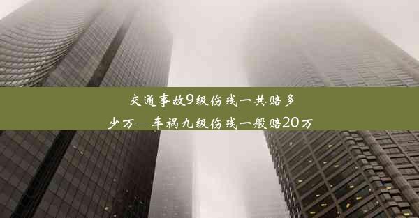 交通事故9级伤残一共赔多少万—车祸九级伤残一般赔20万