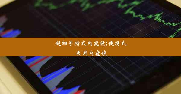 <b>超细手持式内窥镜;便携式医用内窥镜</b>